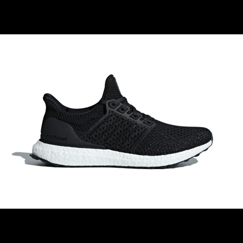 adidas Ultra Boost ADIDAS PERFORMANCE Giacca per outdoor TRAVEER nero marrone | CG7081