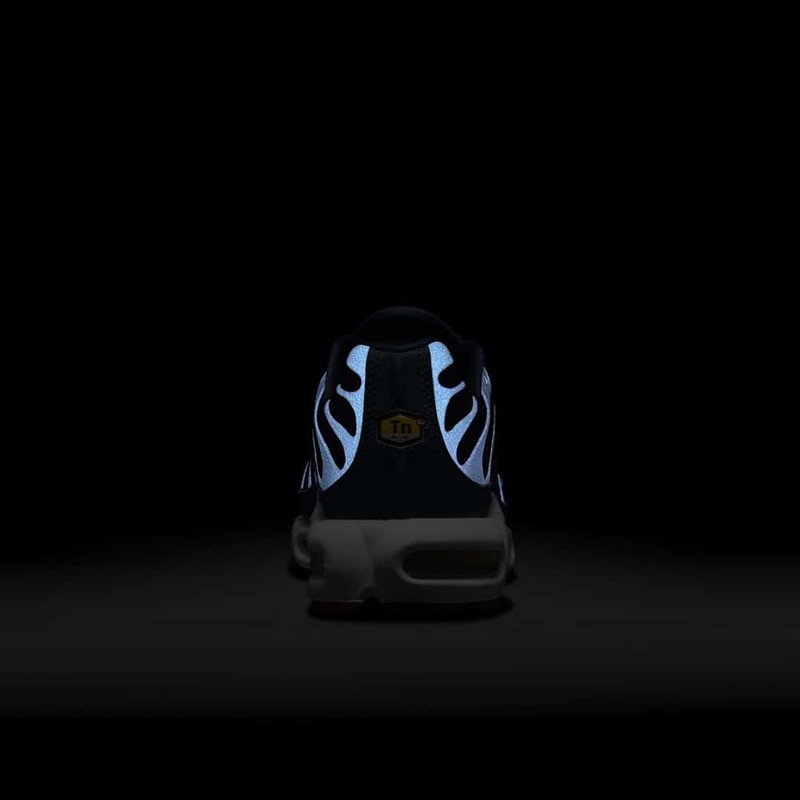 Nike Air Max Plus FFF | FB3350-400