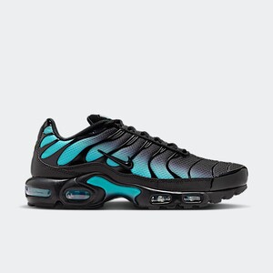 Nike Air Max Plus "Dusty Cactus" | DM0032-016