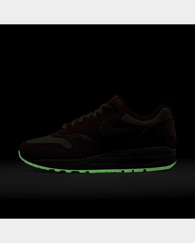 Nike Air Max 1 Somos Familia | DZ5352-847