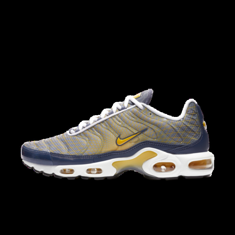 Nike air max on sale plus og grey