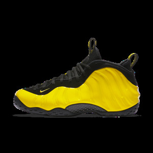 Nike Air Foamposite One | 314996-701