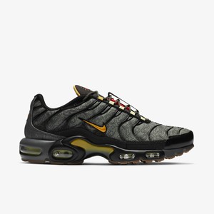 Nike Air Max Plus Fresh Perspective | DC7392-300