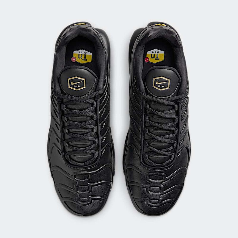 Nike Air Max Plus Premium Bred | FZ3038-001