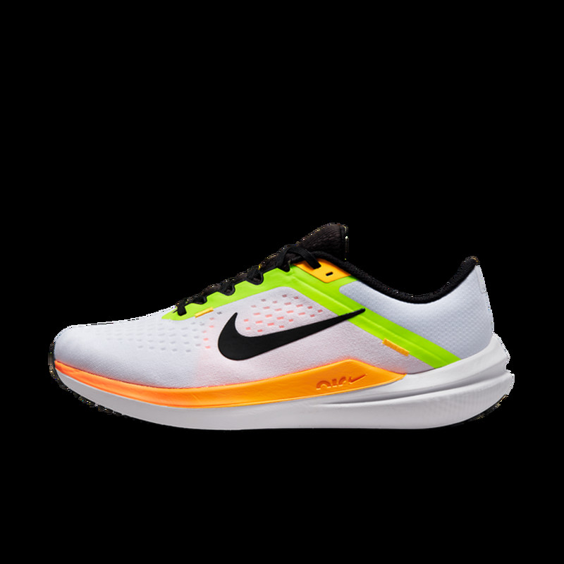 Nike Winflo 10 | DV4022-101