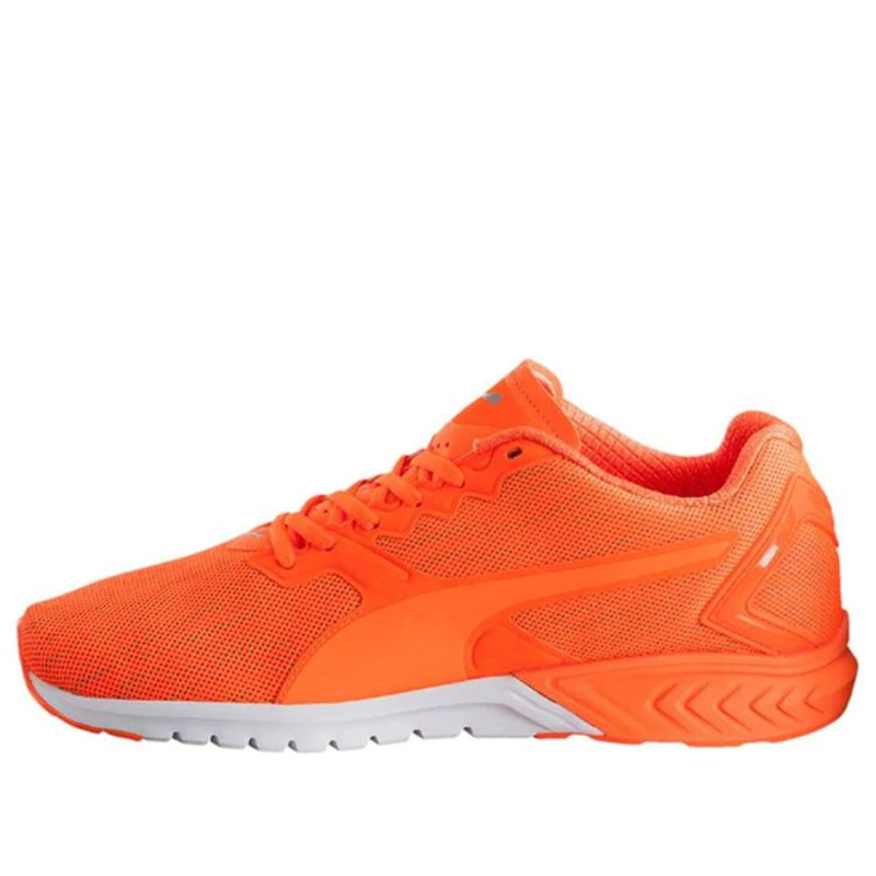 Puma ignite dual store nightcat running shoes