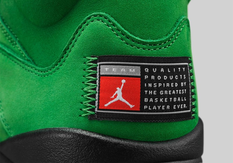 Air Jordan 5 Oregon | CK6631-307