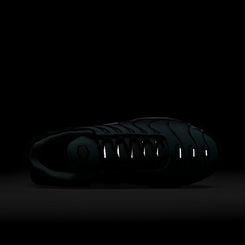 Nike Air Max Plus "Light Retro" | DM0032-401