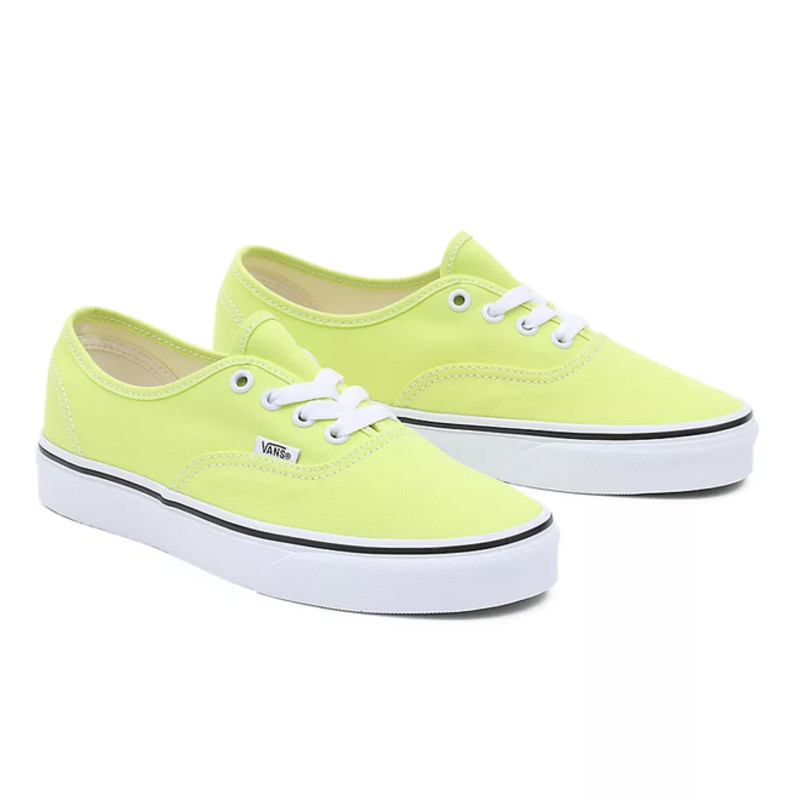 VANS Color Theory Authentic | VN0A5KS9ZUD