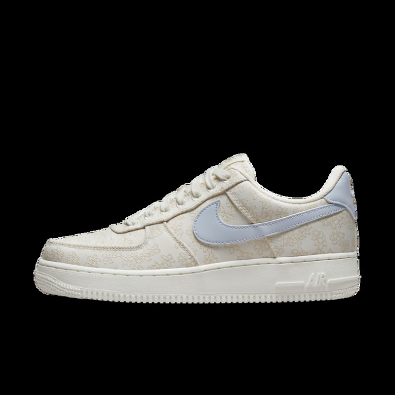 Air Force 1 Low Low Tops Casual Skateboarding | DR6402-900