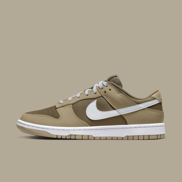 A Nike Dunk Low 