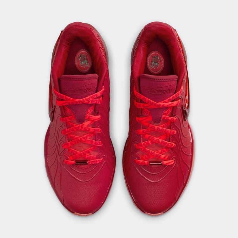 Nike LeBron 21 "James Gang" | HF5951-600