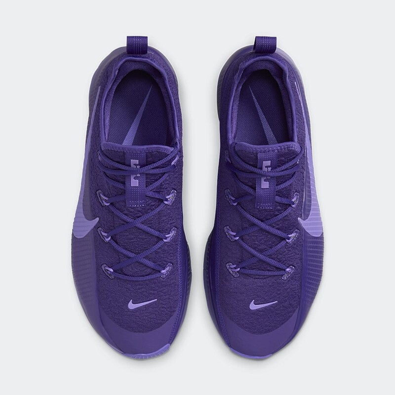 Nike LeBron TR1 "Purple Rain" | FJ6151-500