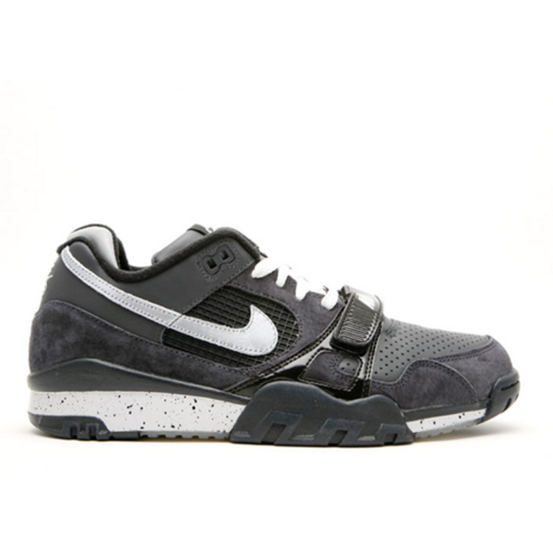 Nike air 2024 trainer 2 sb