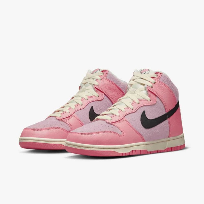 Nike Dunk High Hoops | DX3359-600