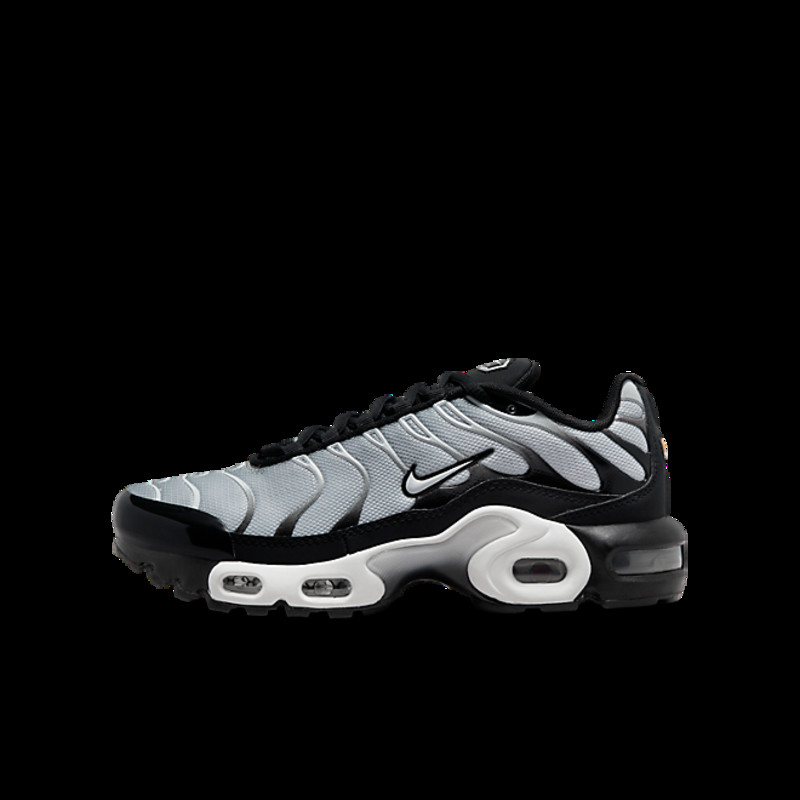 Nike Air Max Plus | CD0609-018