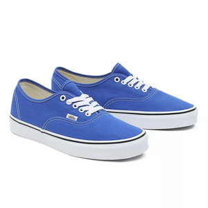 VANS Color Theory Authentic | VN0A5KS96RE