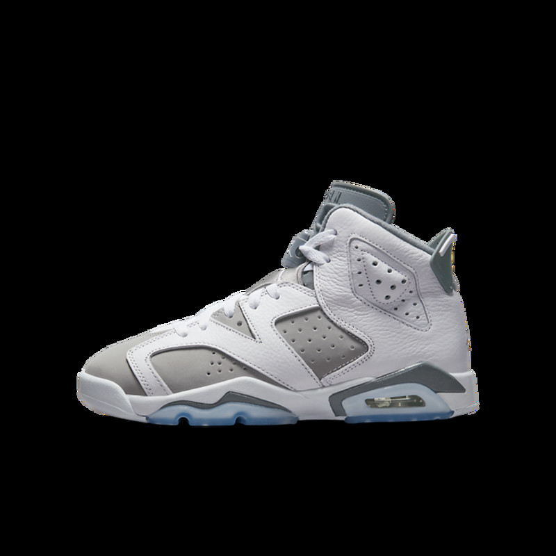 Air Jordan 6 Retro GS 'Cool Grey' | 384665-100