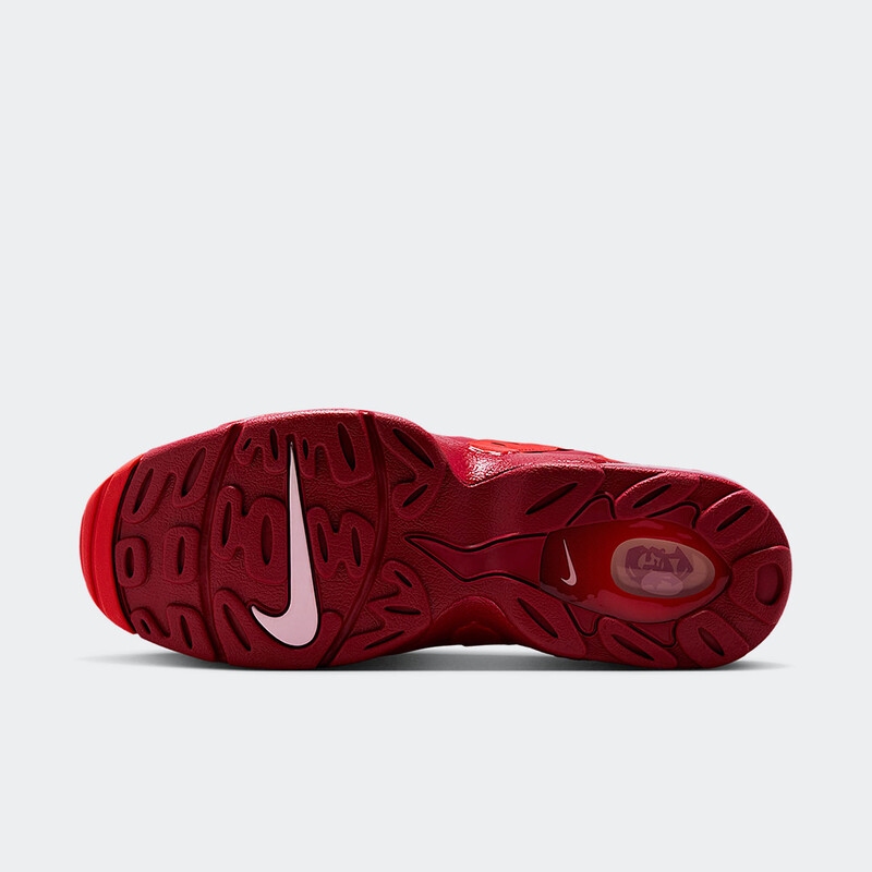 Nike Air DT Max 96 "Love Letter to Connie" | IF1617-600