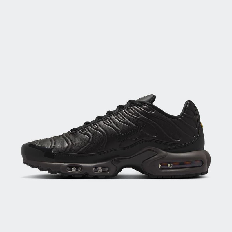 Nike Air Max Plus "Black Tea" | HJ4519-200