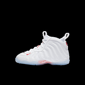 Nike Air Foamposite One Takeout Bag (GS) | CU1055-100