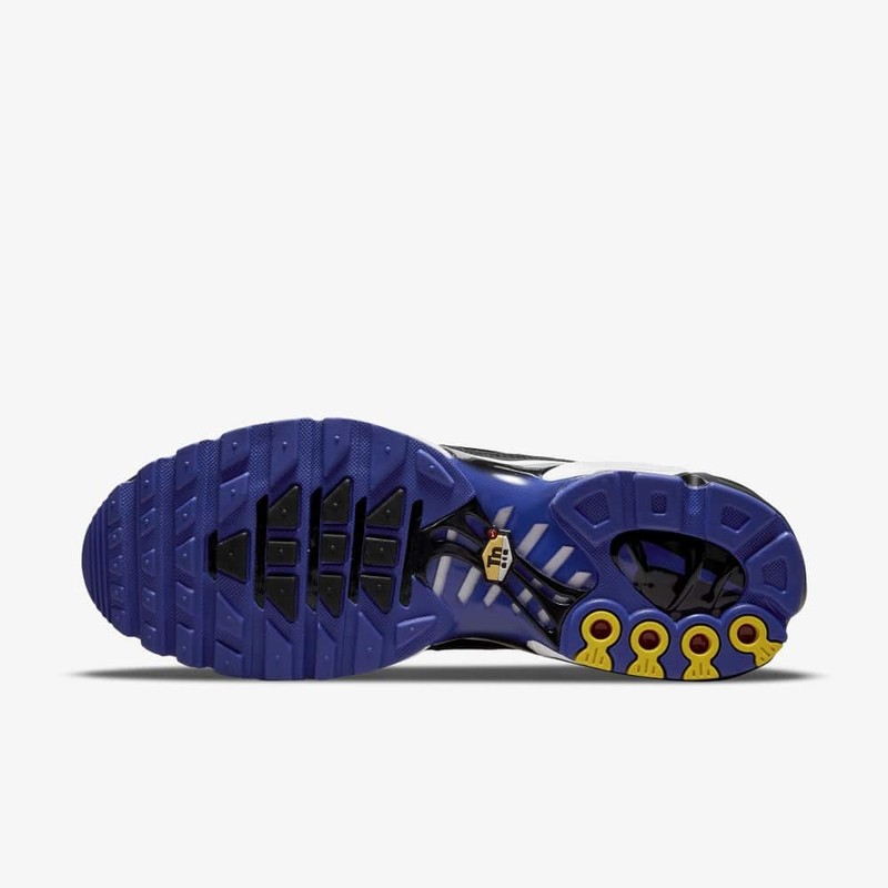 Nike Air Max Plus Persian Violet | DB0682-100