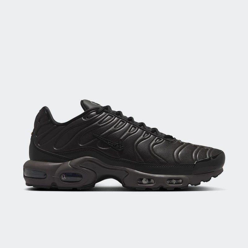 Nike Air Max Plus "Black Tea" | HJ4519-200