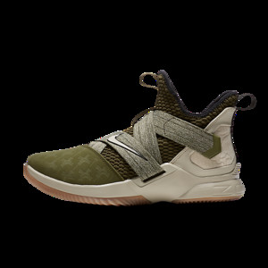 Lebron deals 16 soldier