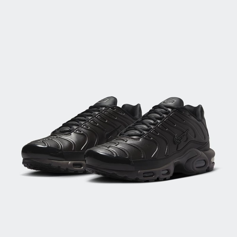 Nike Air Max Plus "Black Tea" | HJ4519-200