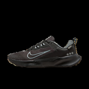 Nike Juniper Trail 2 GORE | FB2065-001