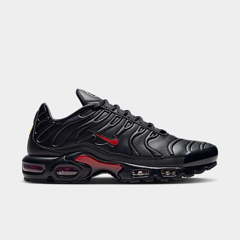 Nike Air Max Plus Premium Bred | FZ3038-001