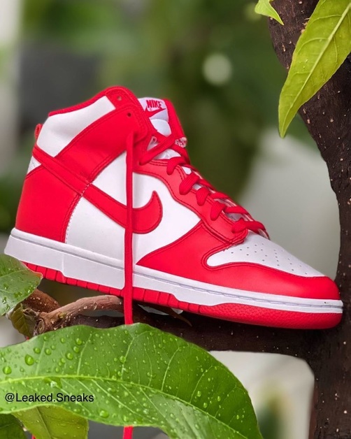 The Dunk Low Craze Carries Over to the Dunk High