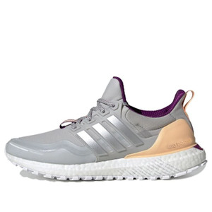 Adidas ultra hotsell boost woodstock grey