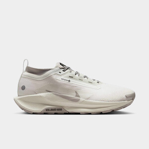 Nike Pegasus Trail 5 Gore-Tex SP "Light Bone" | HQ7494-100