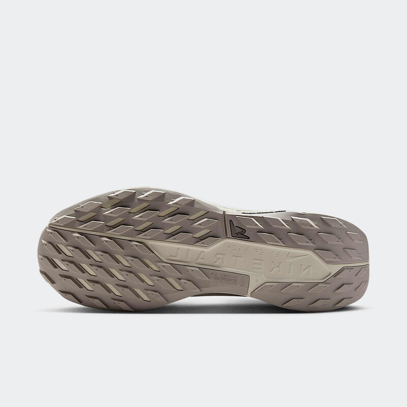 Nike Pegasus Trail 5 Gore-Tex SP "Light Bone" | HQ7494-100