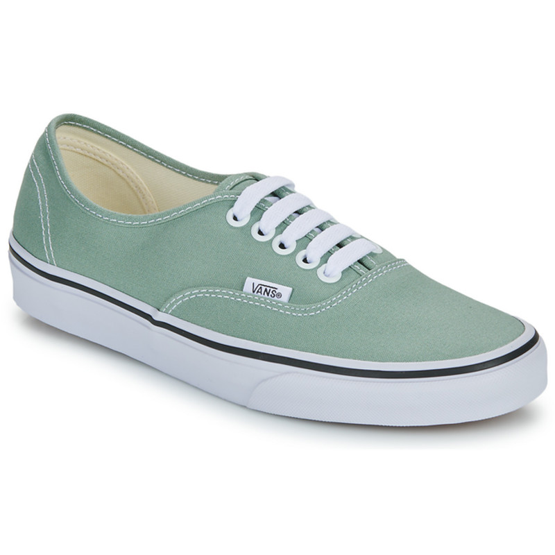 Vans Authentic | VN000BW5CJL1