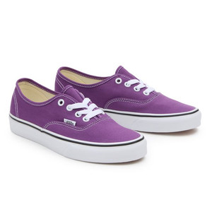 Vans Authentic Color Theory | VN000BW51N8