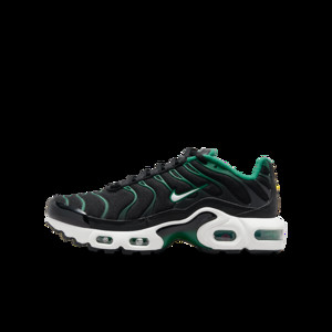 Nike Air Max Plus TN Spider Noir DD4004-001