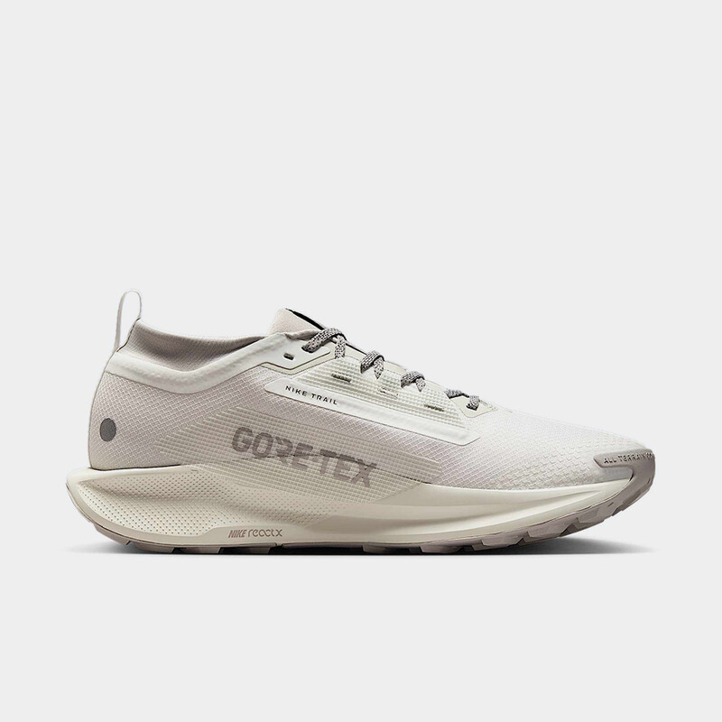 Nike Pegasus Trail 5 Gore-Tex SP "Light Bone" | HQ7494-100