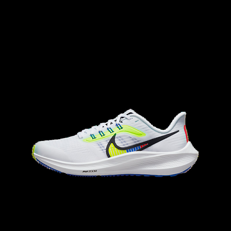 Nike Air Zoom Pegasus 39 | DM4015-100