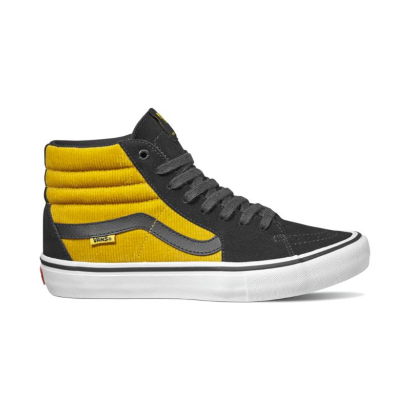 Vans SK8 hoge | VN0A45JDVFC