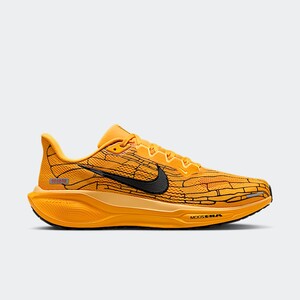 Nike Pegasus 41 LV8 "Mayfly" | IH3257-700 Nike Pegasus 41 LV8 "Mayfly" | IH3257-700