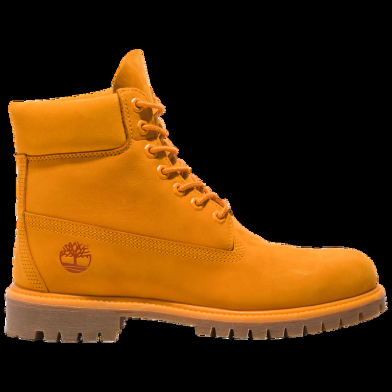 Timberland 50timberland boots a lacets en nubuck marron footwear | TB0A5VJN804