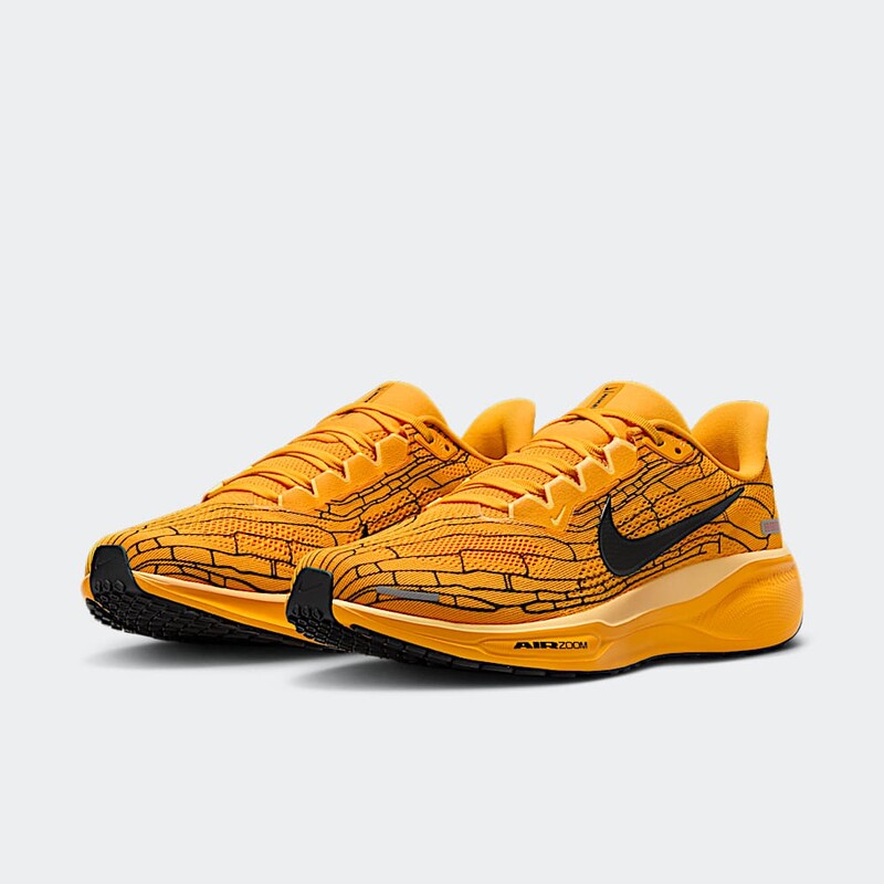 Nike Pegasus 41 LV8 "Mayfly" | IH3257-700