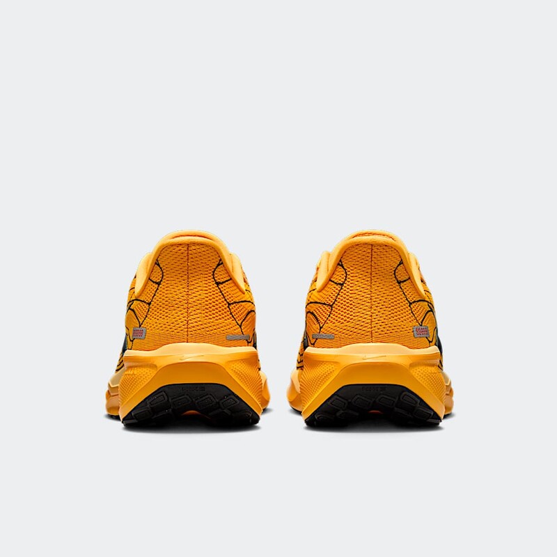 Nike Pegasus 41 LV8 "Mayfly" | IH3257-700