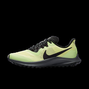 Nike Pegasus 39 (NFL Philadelphia Eagles) - DR2058-300