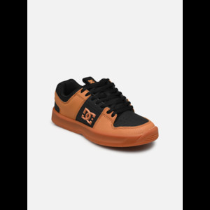 DC Shoes Lynx Zero B E | ADBS100269-WEA