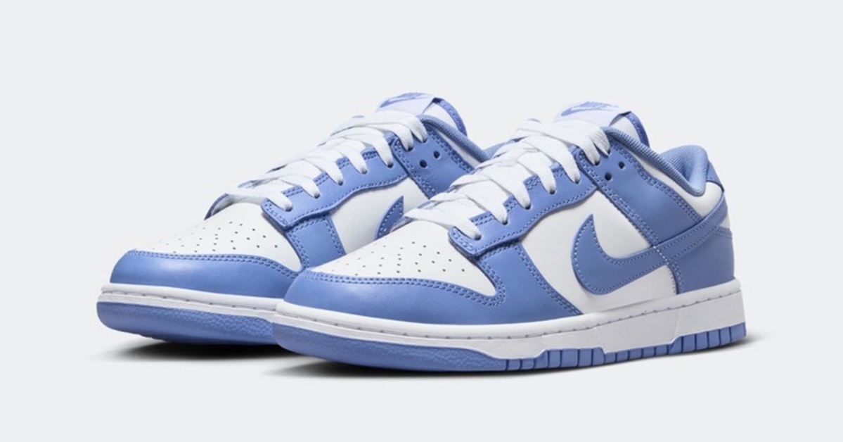 First Images of the Nike Dunk Low "Polar Blue"