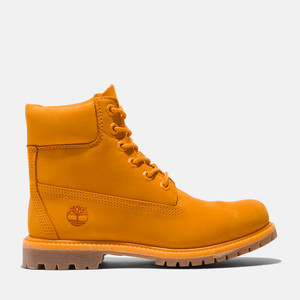 Timberland 50th Edition Premium 6 Inch | TB0A4113804