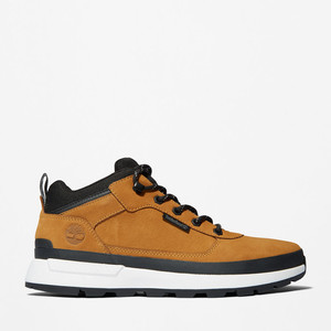 Timberland Field Trekker Hiker | TB0A2A15231